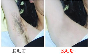 808뵼弤ëëЧԱͼ